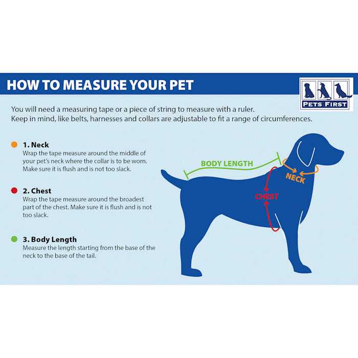 Chicago Cubs Dog Collar K555