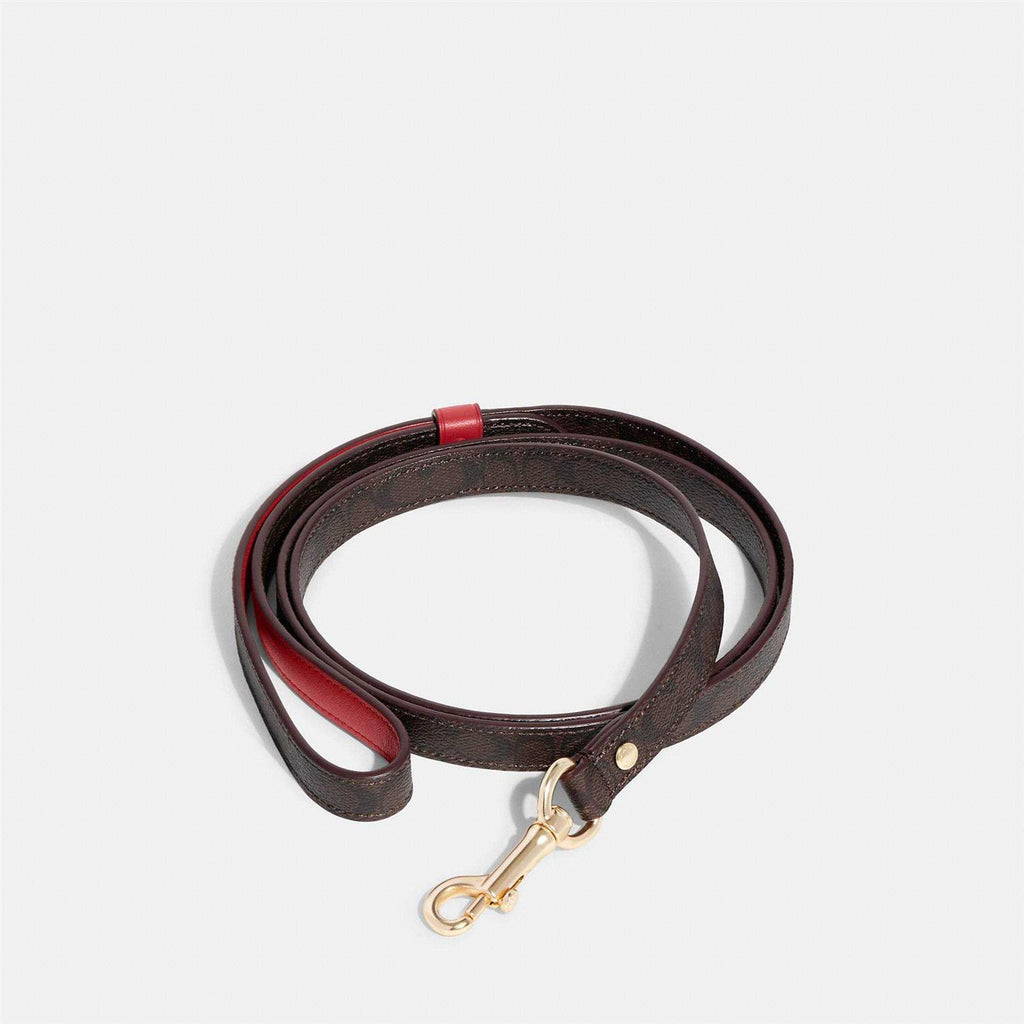 Boxed Pet Leash In Signature Canvas S325973