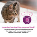 Calming Diffuser Kit B221