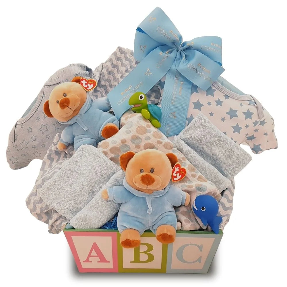 Twin Boys Gift Basket A819997