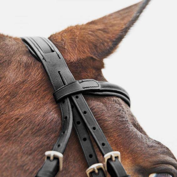 Brown Figure 8 Bridle G221