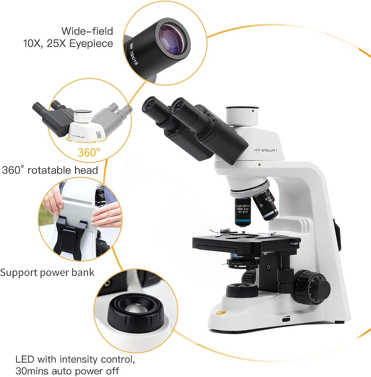 Compound Microscope 40X-2500X Magnification Trinocular P23896