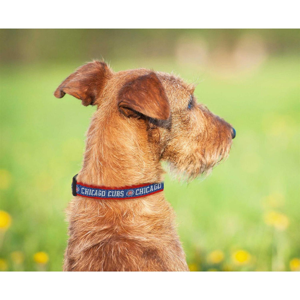 Chicago Cubs Dog Collar K555