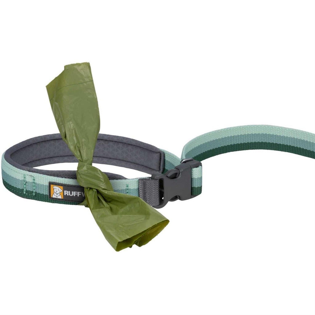 Leash P265