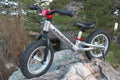 Red Balance Bike E2678