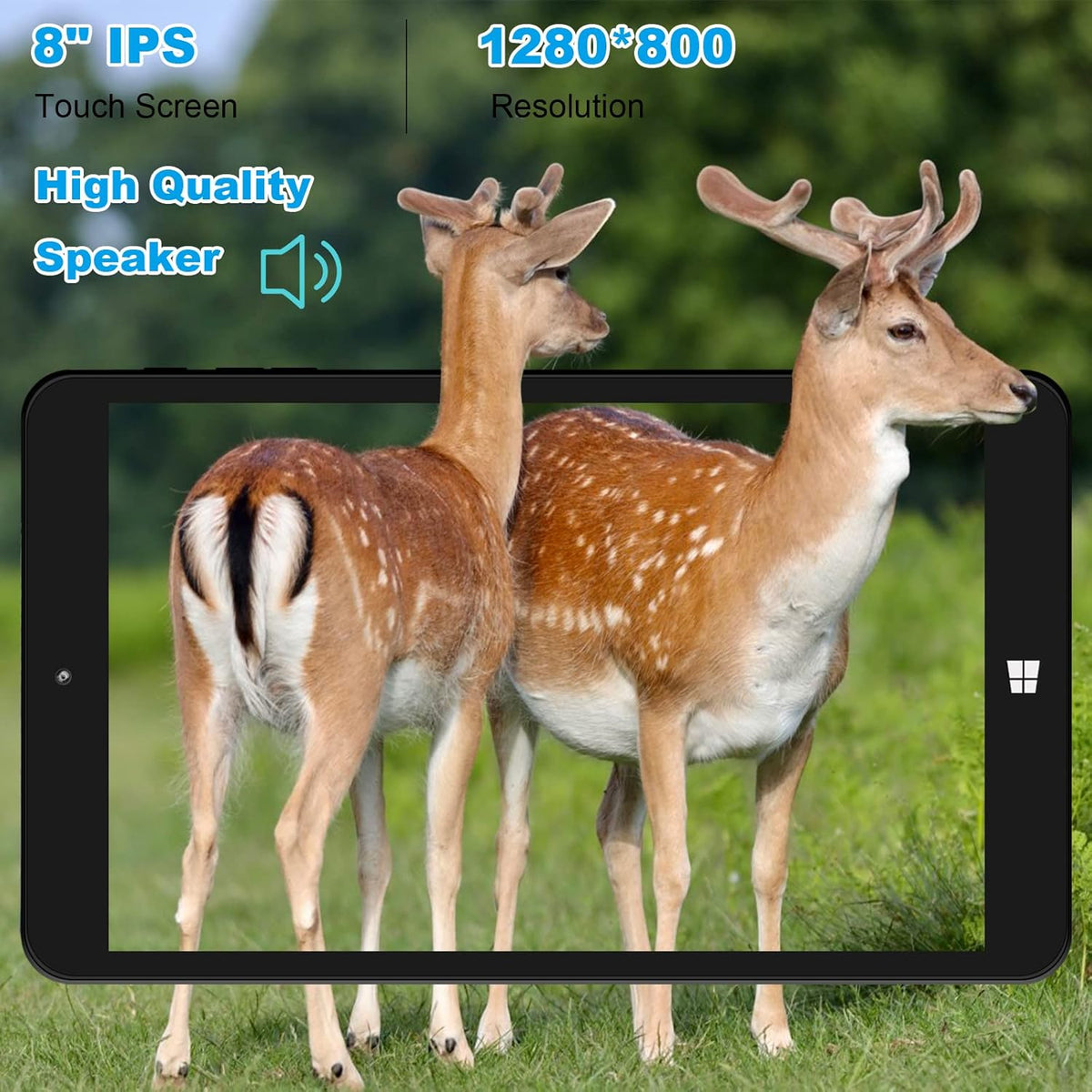 8 Windows Tablet D435486