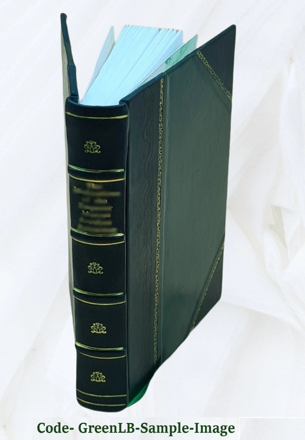 Leather Bound Book T2909