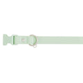 Dog Collar F9944