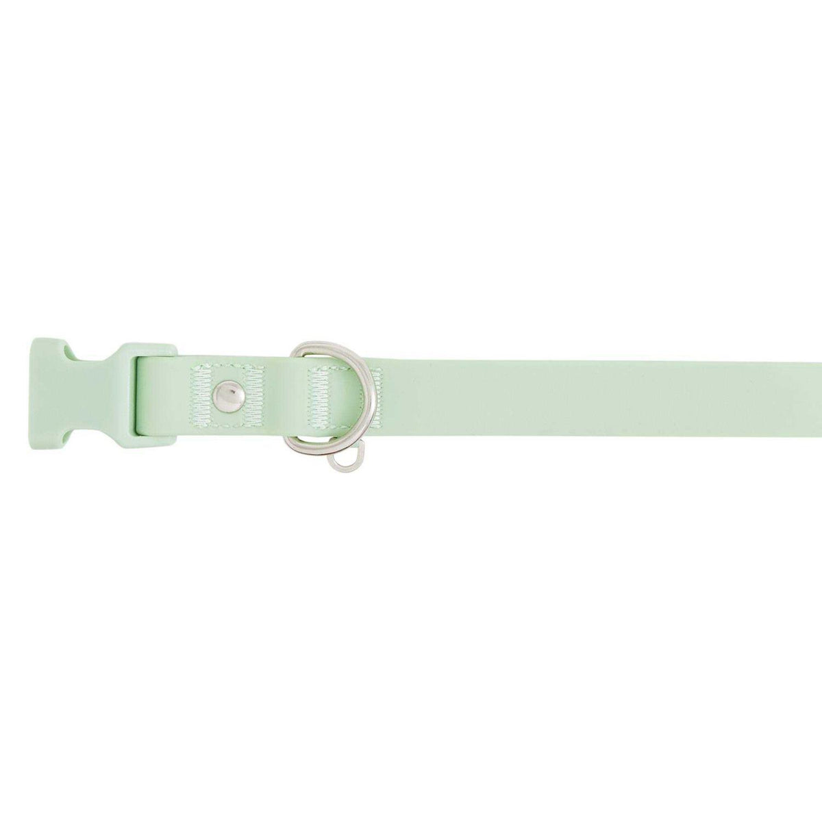 Dog Collar F9944