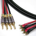 Speaker Cable 4 Spade to 4 Banana V6624