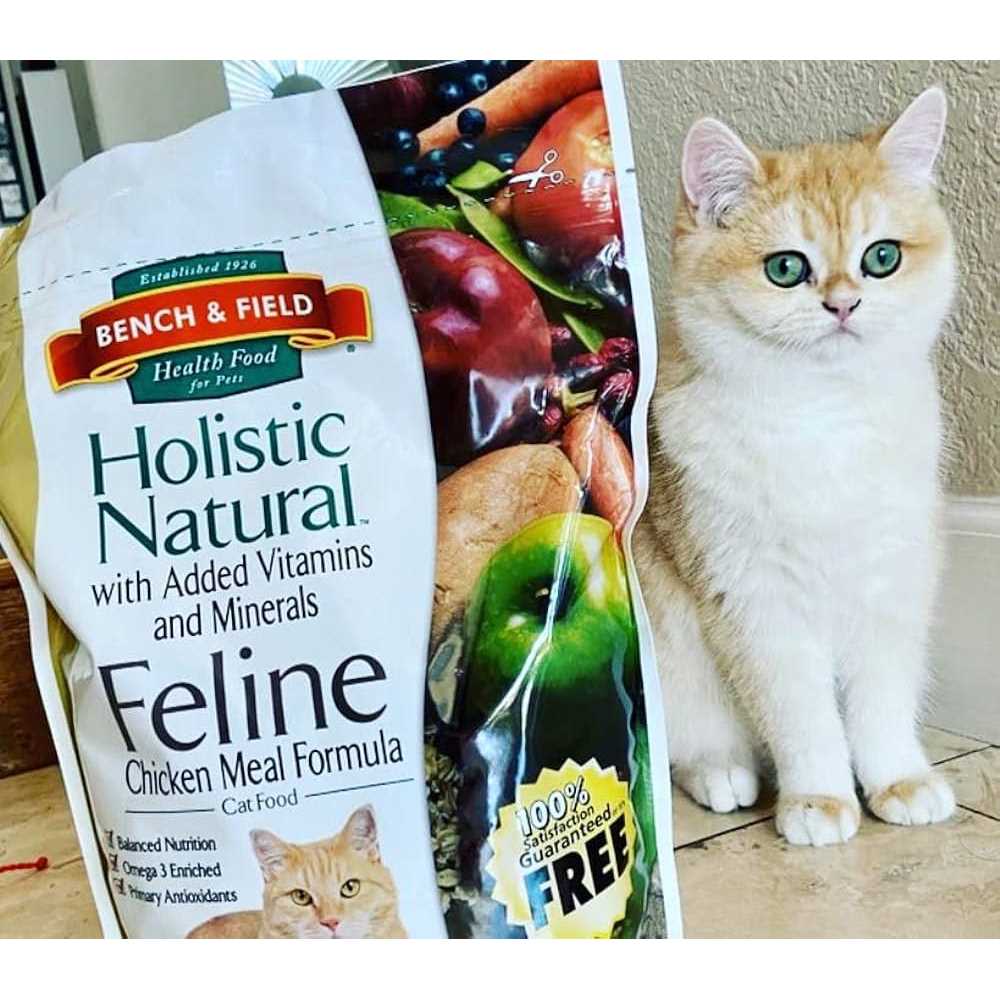 Natural Holistic Cat Food W90328