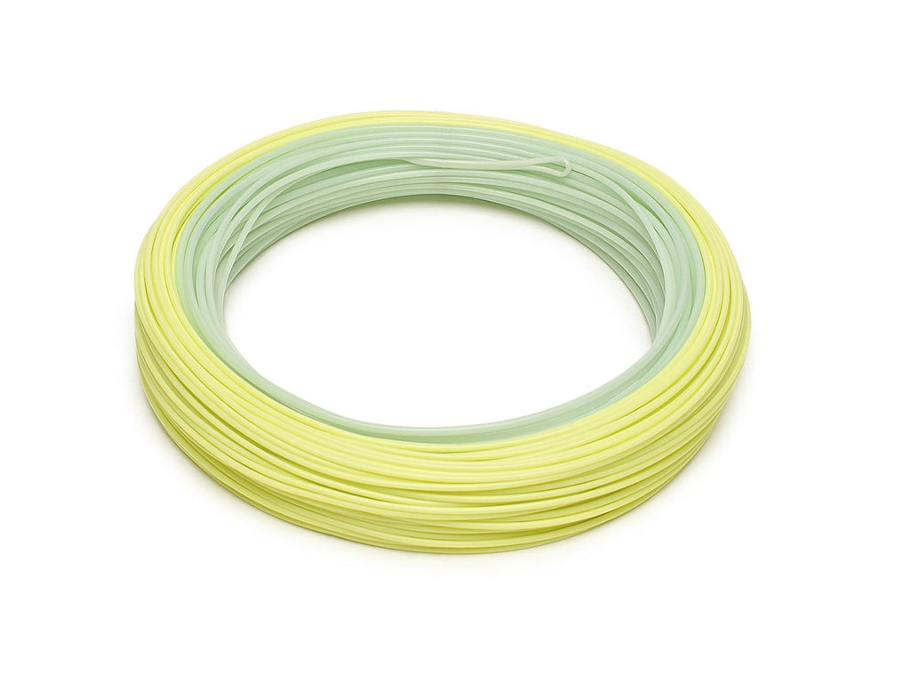 WF6F Fly Line H8706