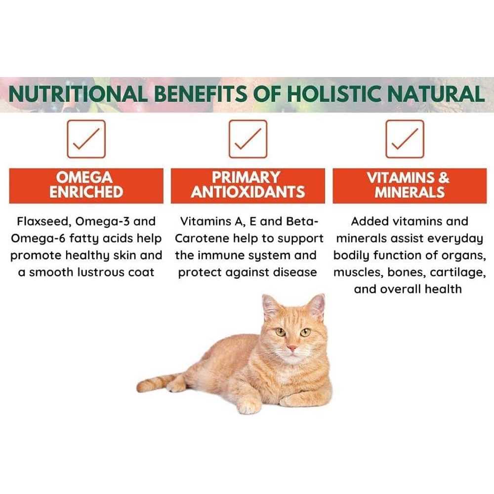 Natural Holistic Cat Food W90328