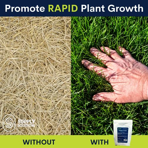 Soluble Potash Plant Food (5 Pounds) Y36625