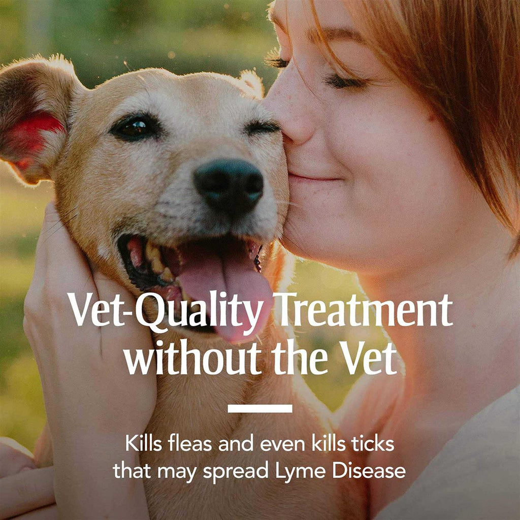 Flea & Tick Collar for Dogs D984