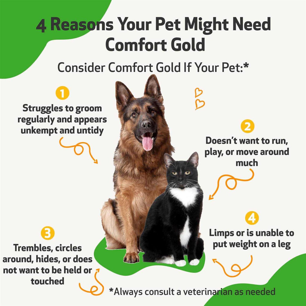 Comfort Gold for Cats F29295