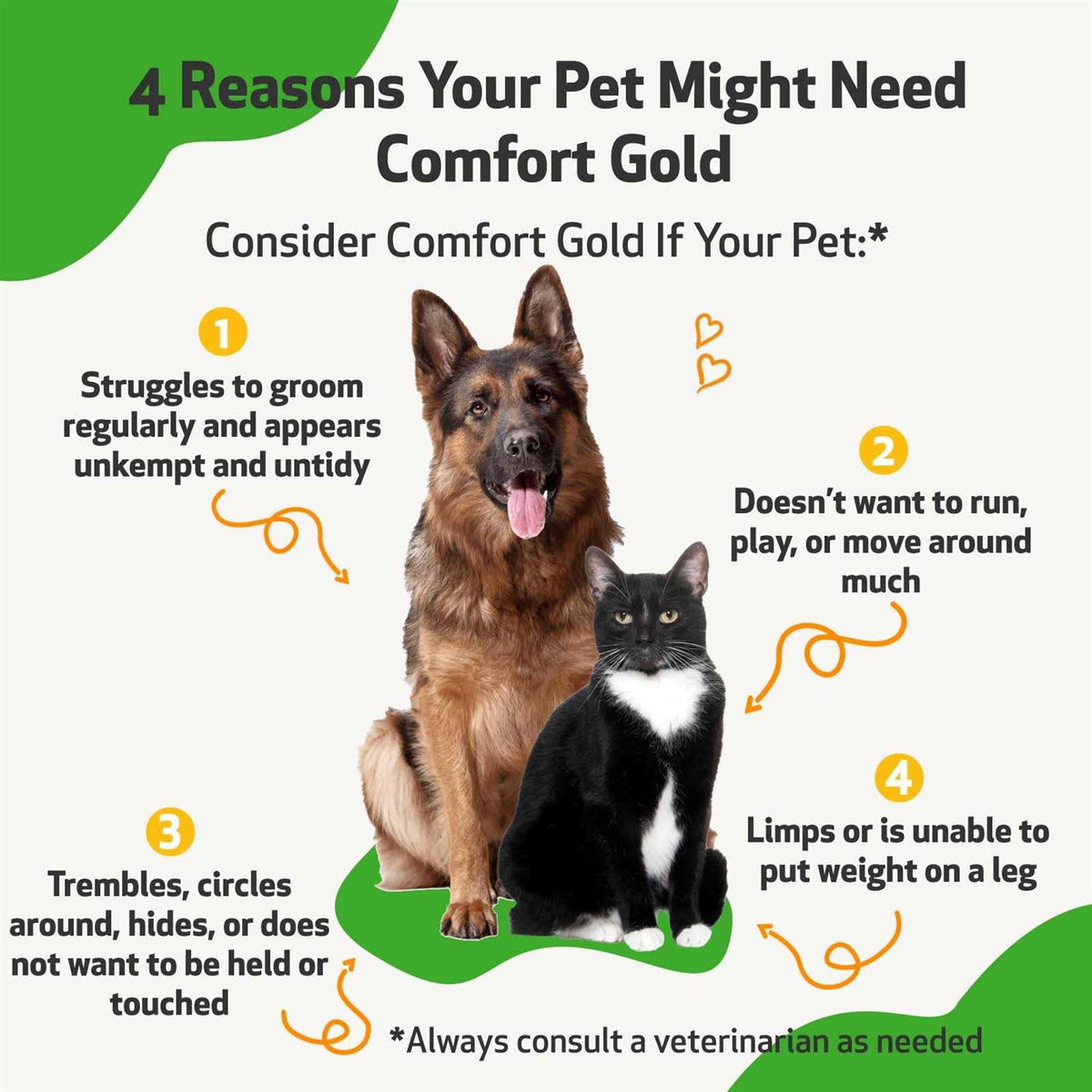 Comfort Gold for Cats F29295