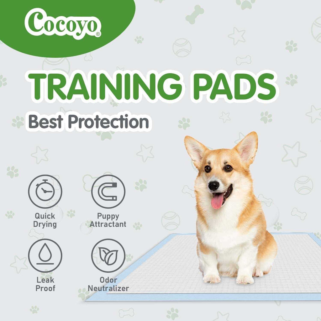 Dog Training Pads F651
