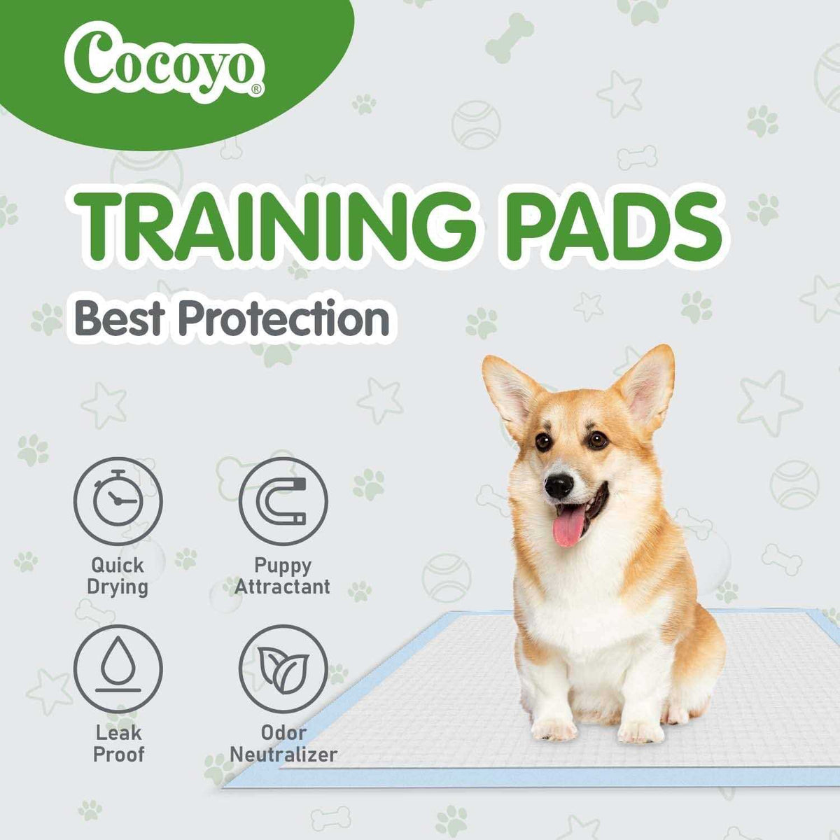 Dog Training Pads F651