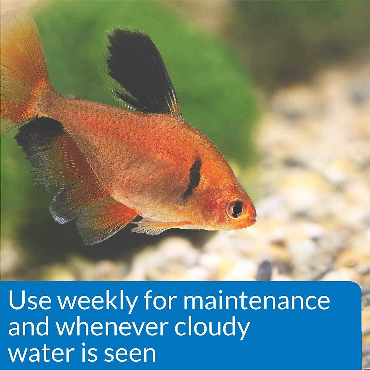 Aquarium Accu-Clear U3060