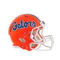 Florida Gators Helmet Wall Decals B537449
