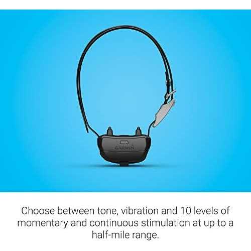 Dog Collar T61923