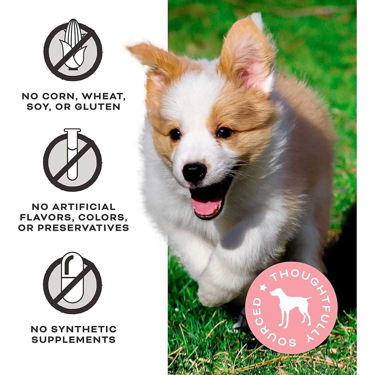 Freeze-Dried Chicken Dog Treats V28473