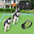 Electric Dog Fence D605