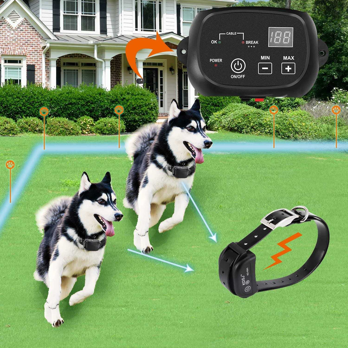 Electric Dog Fence D605