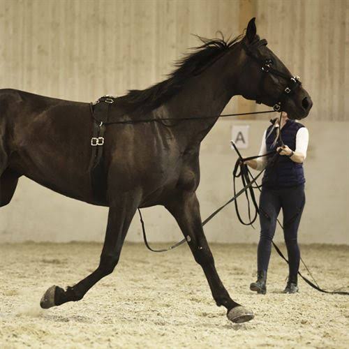 Nylon Cavesson S92566