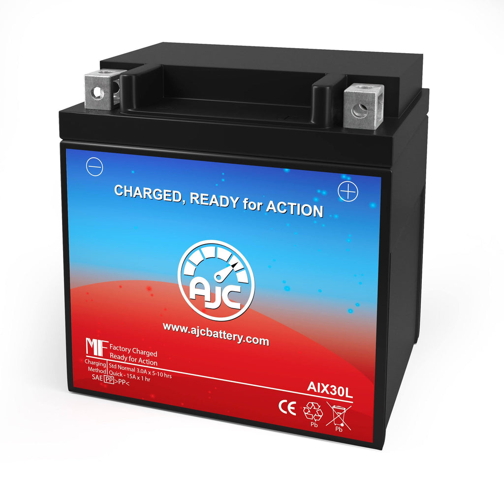 Powersports Replacement Battery F98980