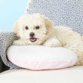 Heartbeat Dog Pillow V869969