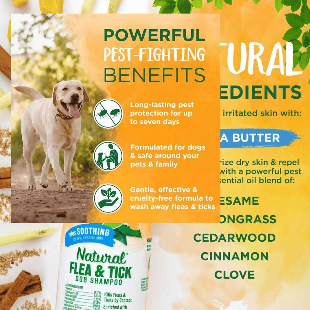 Natural Flea & Tick Soothing Shampoo S125