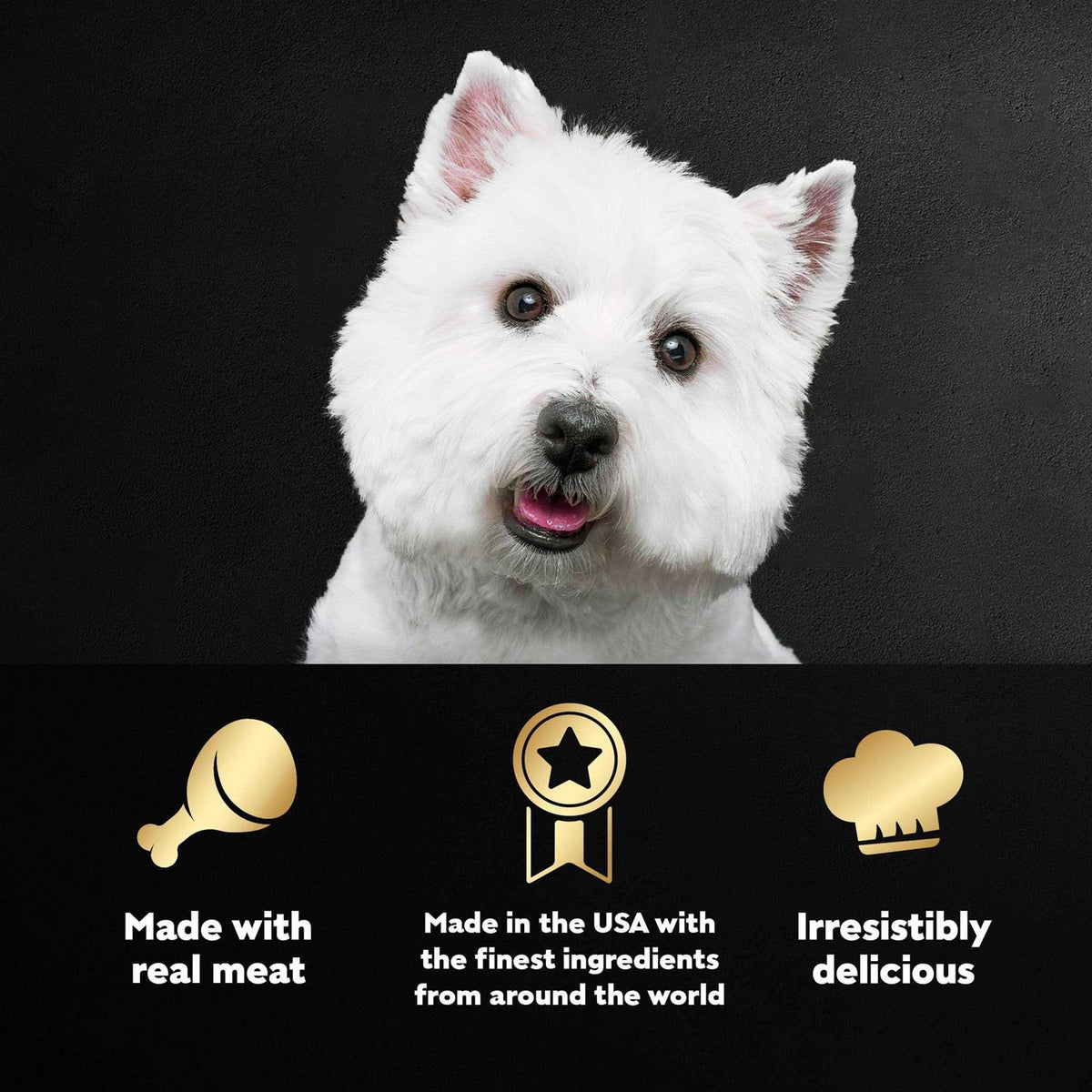 Wet Dog Food Variety Pack B920