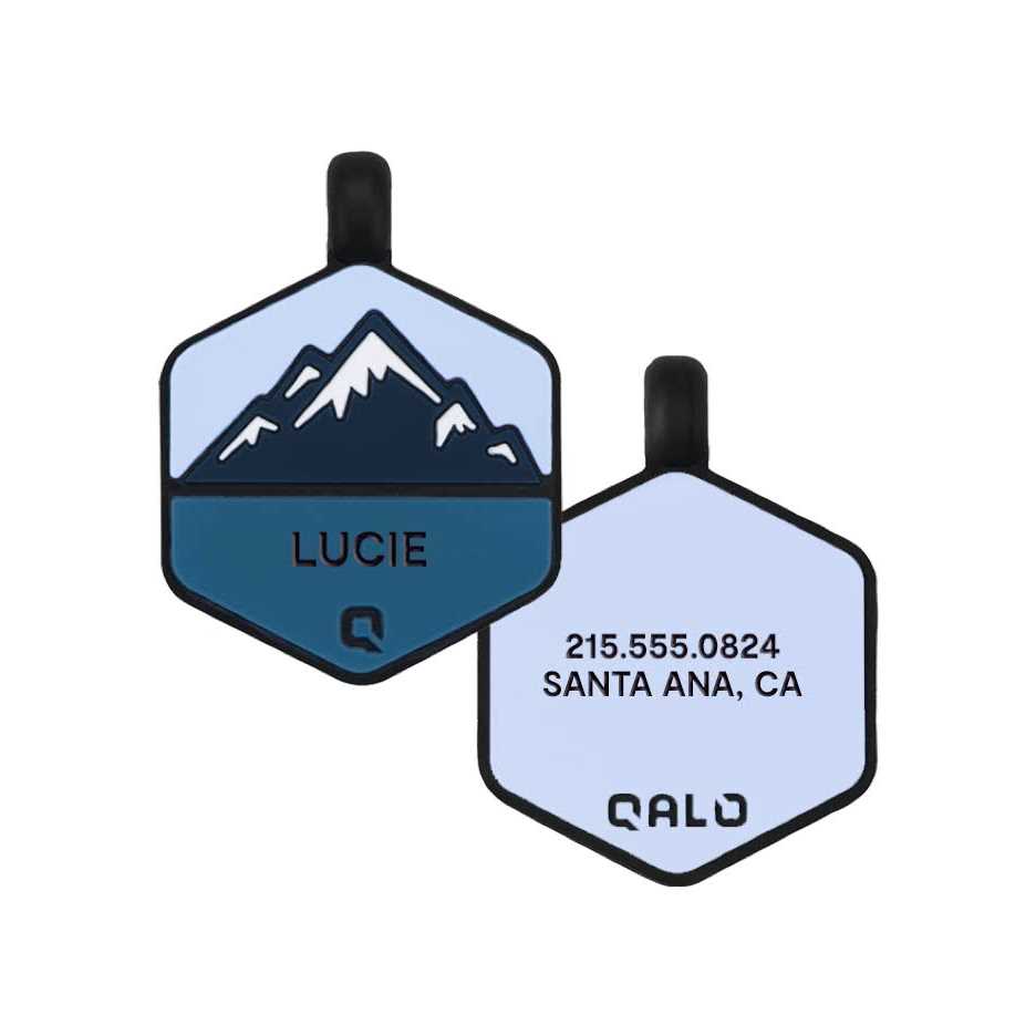 Silicone Dog ID Tag P334