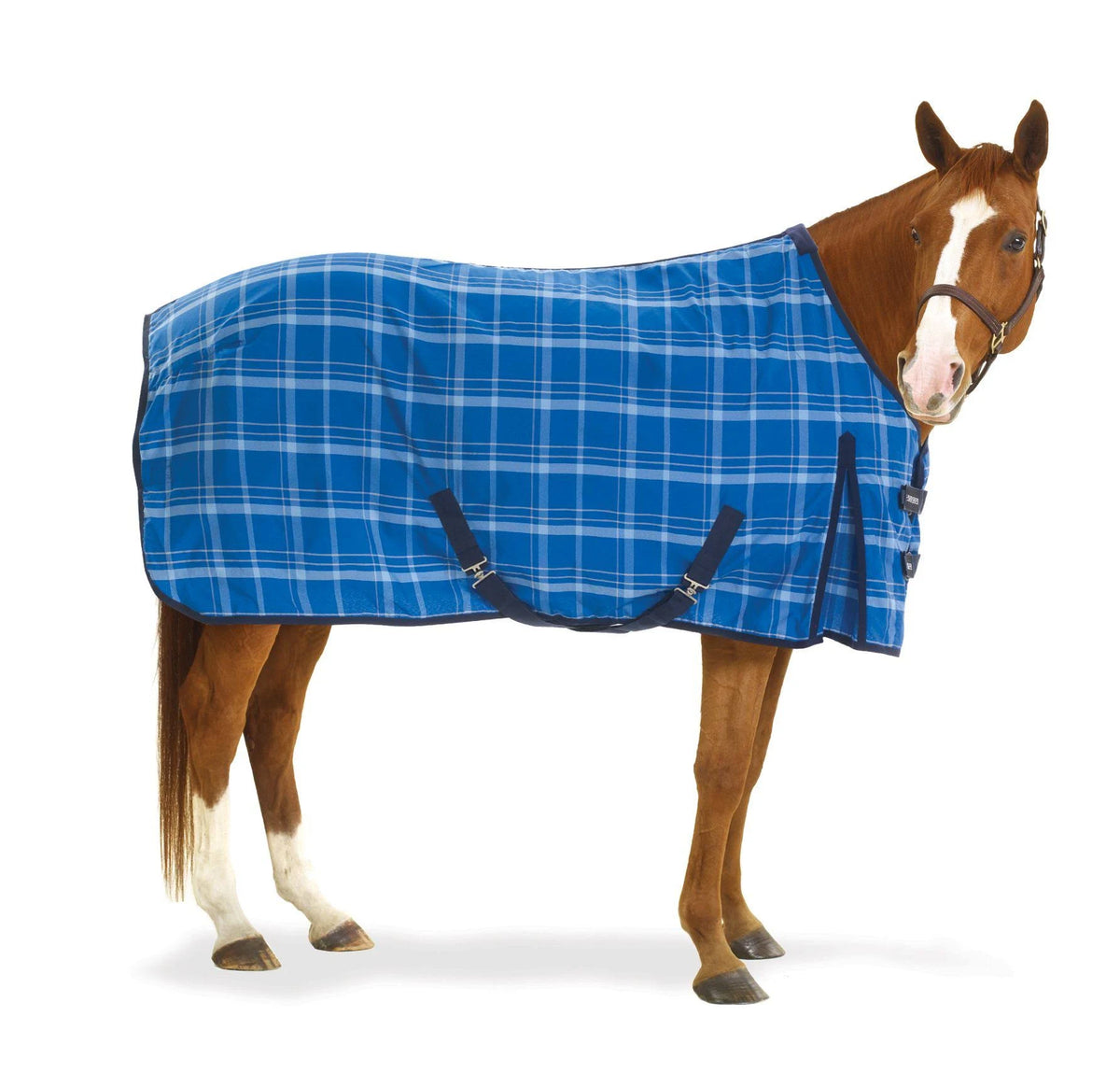 Plaid Stable Sheet D57324