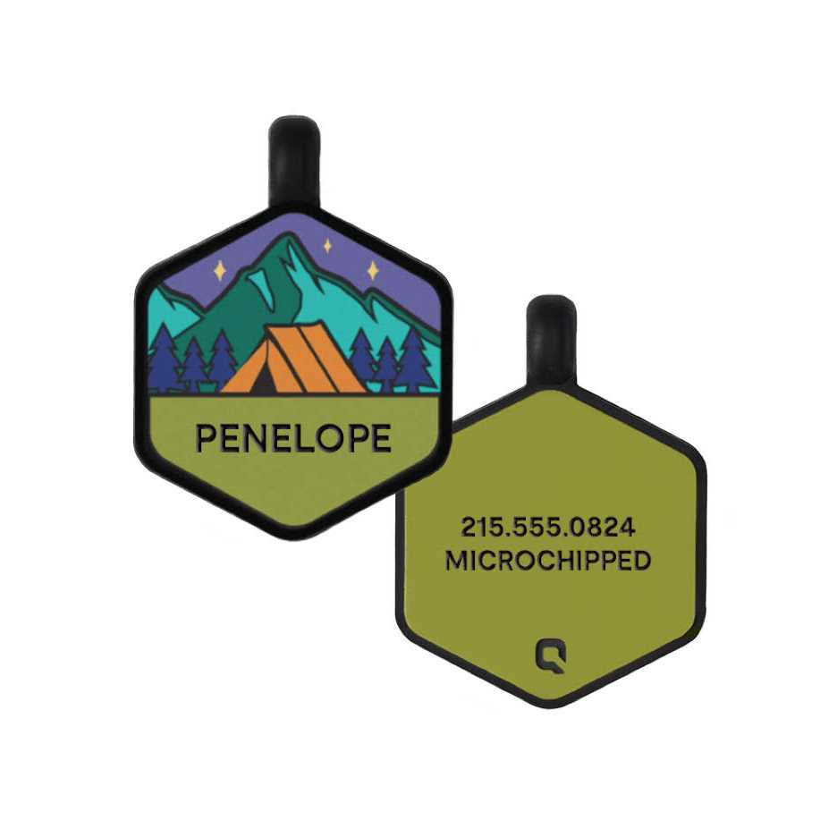 Silicone Dog ID Tag P334