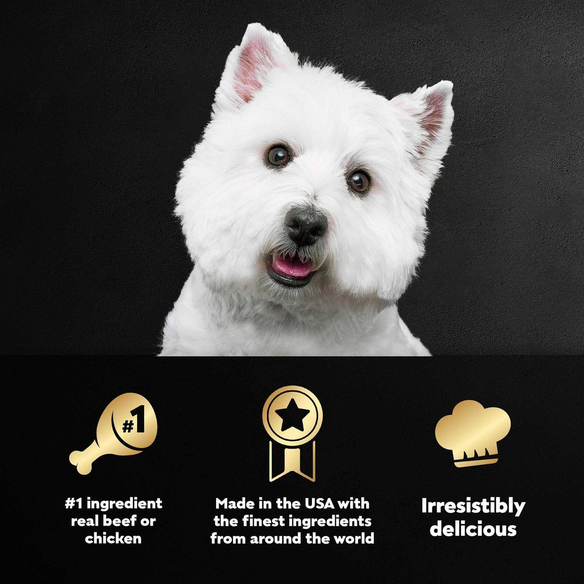 Wet Dog Food Variety Pack Y502