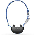 Dog Collar T61923