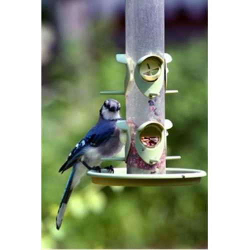 Wild Bird Food B537