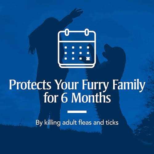Flea & Tick Collar for Dogs D984