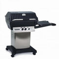 Stainless Steel Natural Gas Grill G79523