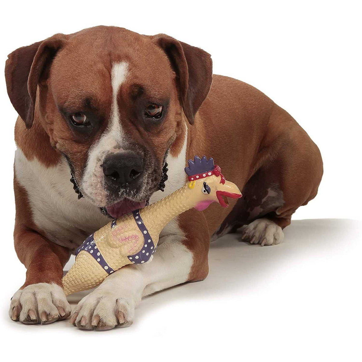 Dog Toy R36055