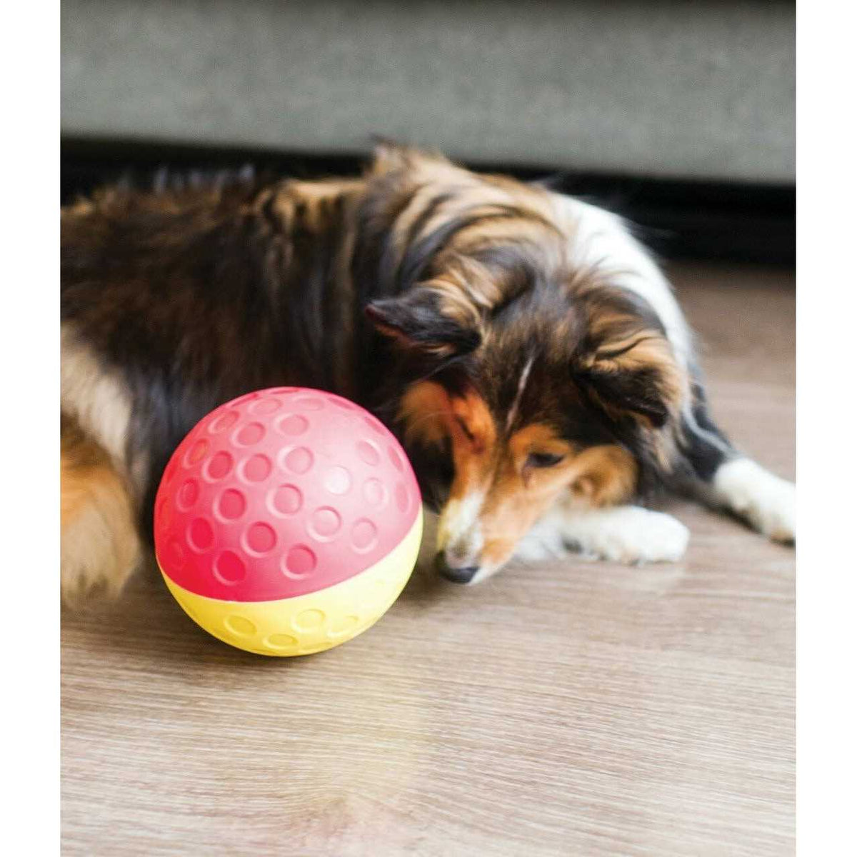 Treat Tumble Dog Toy C9325