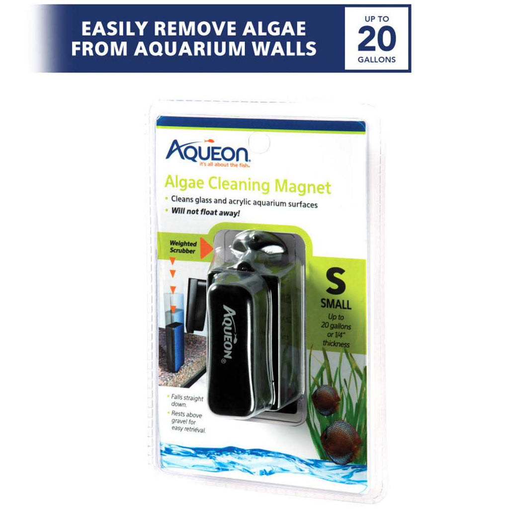 Algae Cleaning Magnet I37299