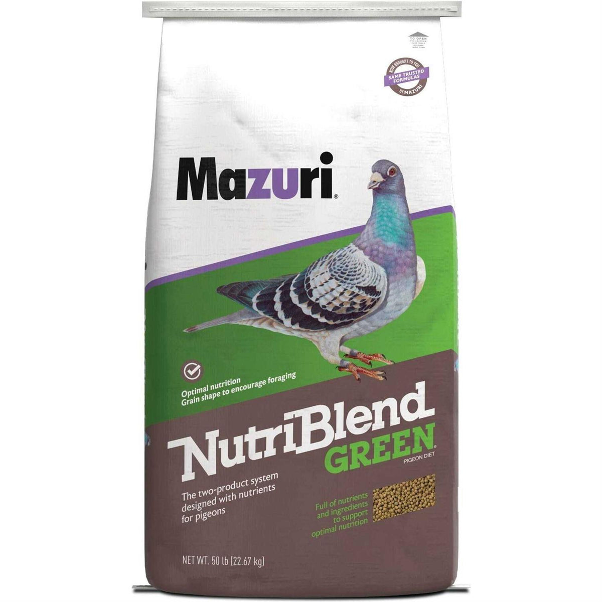 Green Pigeon Bird Food D21072
