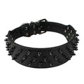 Black Spiked Studded Dog Collar W550