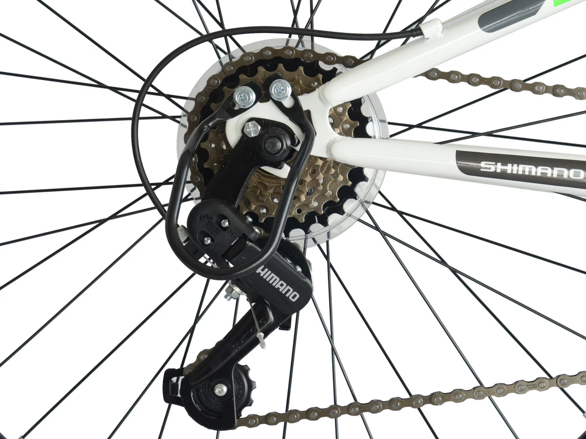 Dual Suspension Mountain Bike 21-speeds 18-Inch Frame R2452