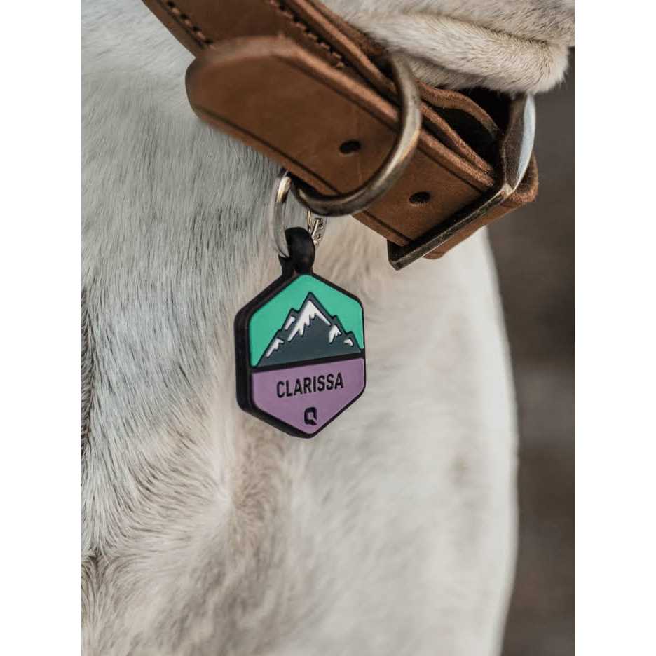 Silicone Dog ID Tag P334