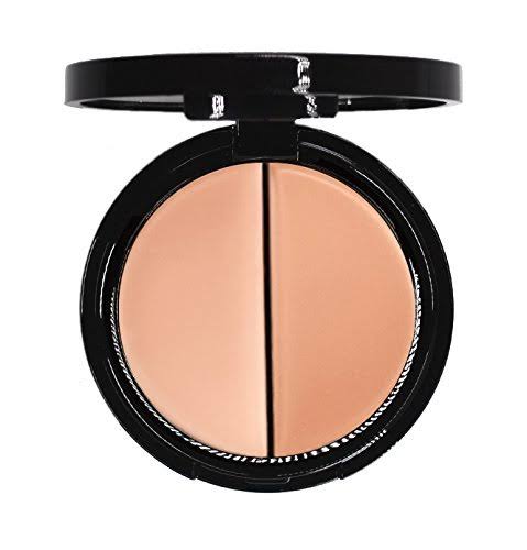 Dual Salmon Concealer and Concealer Blender Brush D937175